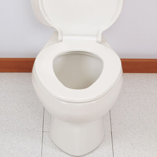 white porcelain toilet
